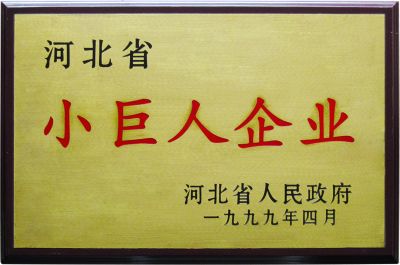 小巨人企業